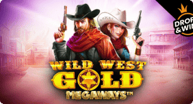 payid-pokies-playfina-wild-img